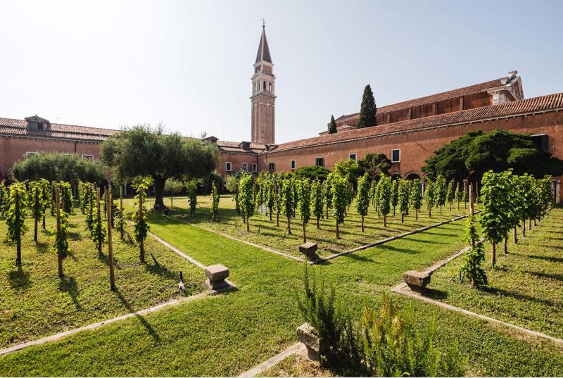 Vigne urbane