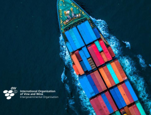 Oiv: quasi 5 miliardi il valore delle riesportazioni globali di vino