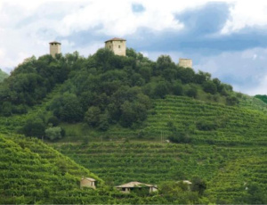 Ismea, dal Pnrr effetto leva da 600 milioni per il settore vino