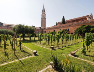 All’Italia il primato mondiale delle vigne urbane