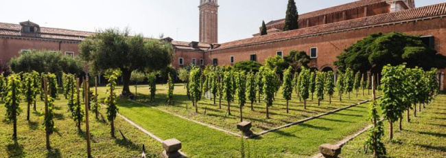 All’Italia il primato mondiale delle vigne urbane