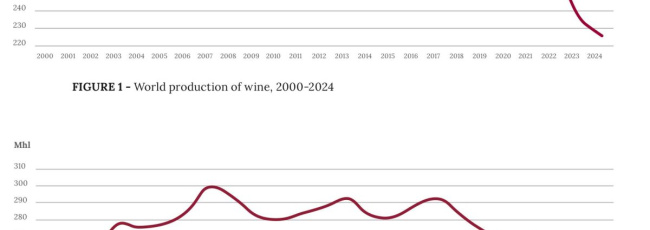 Oiv: quasi 5 miliardi il valore delle riesportazioni globali di vino