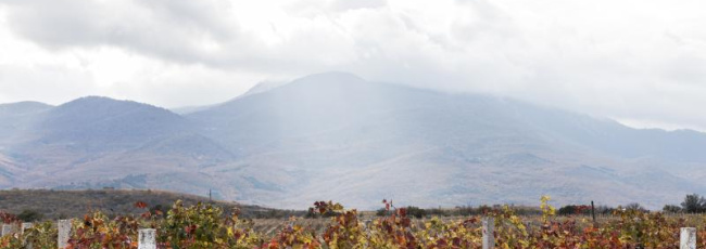Messico, prima indicazione geografica protetta ai vini “estremi” di Querétaro