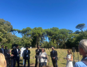Roma riscopre la sua vocazione vitivinicola: inaugurato il vigneto di San Sisto