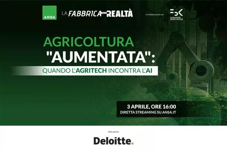 Agricoltura "aumentata", quando l'Agritech incontra l'IA