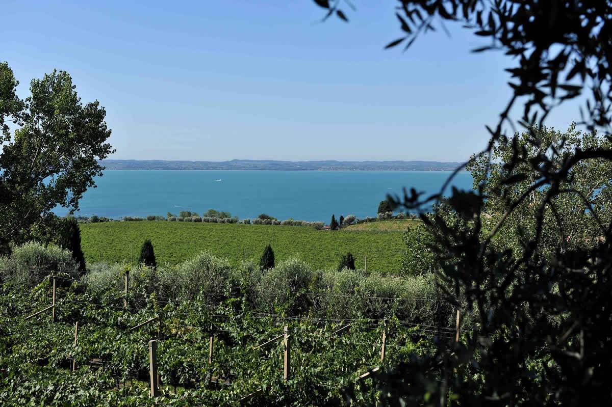Bardolino Cru
