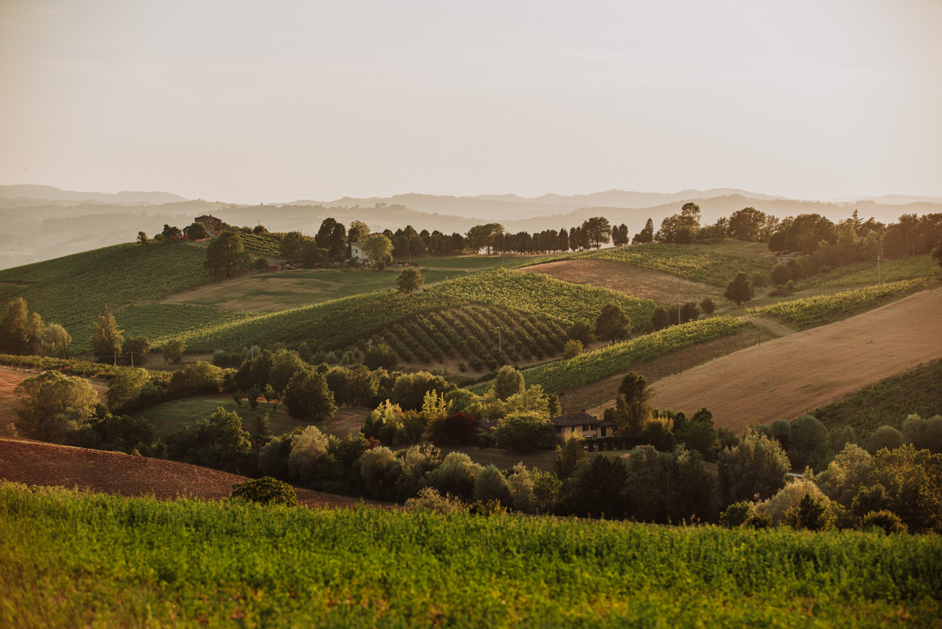 “Terra Emilia” - Road Show