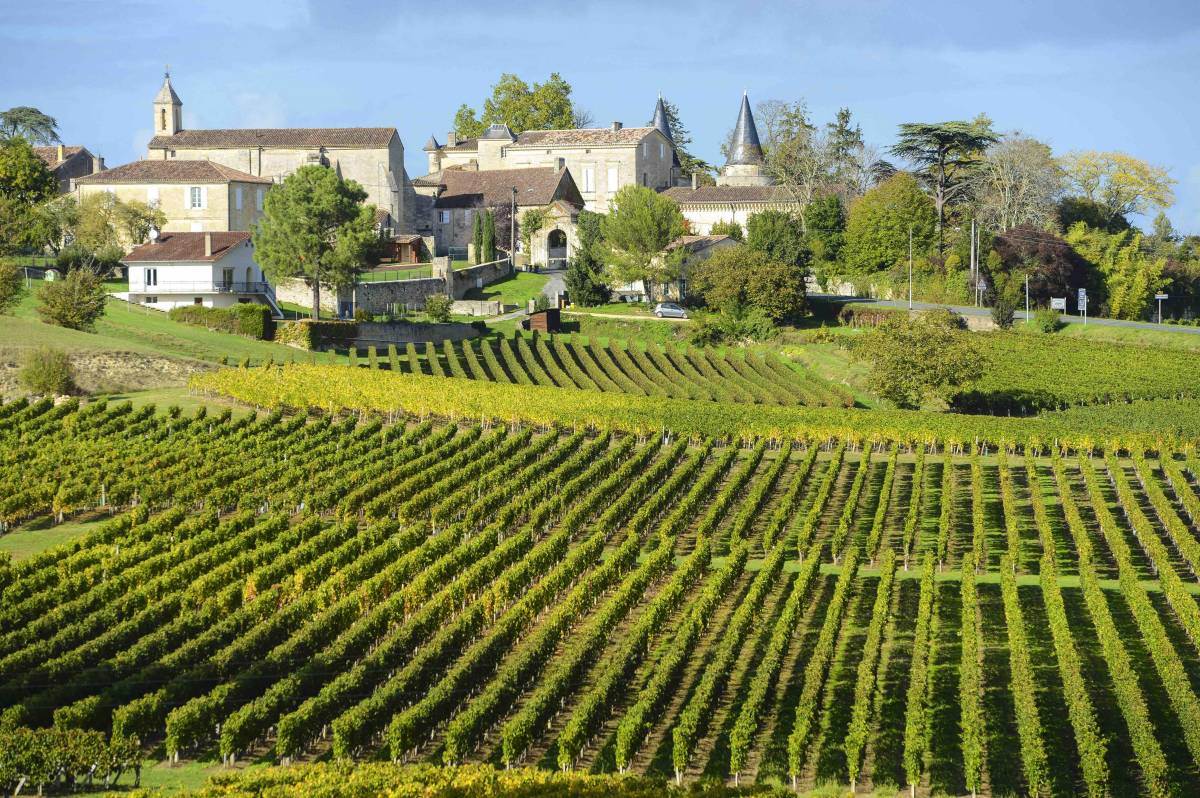Fare un corso di sommelier in un castello francese a Bordeaux.jpg