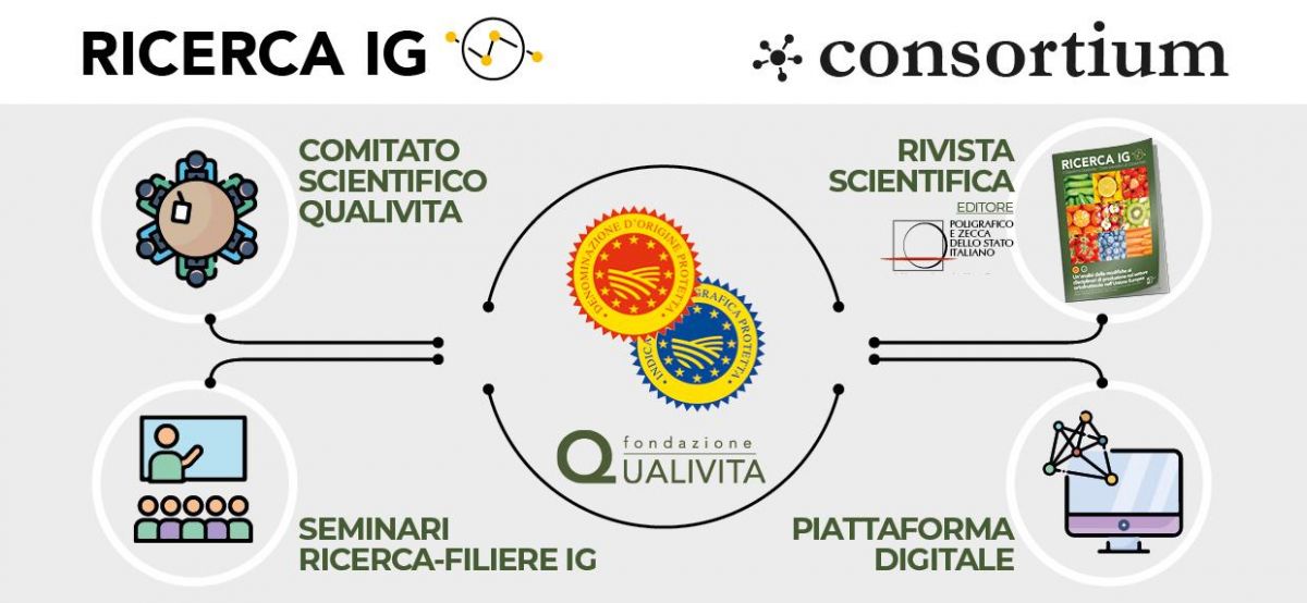 RICERCA-IG-infografica.jpg