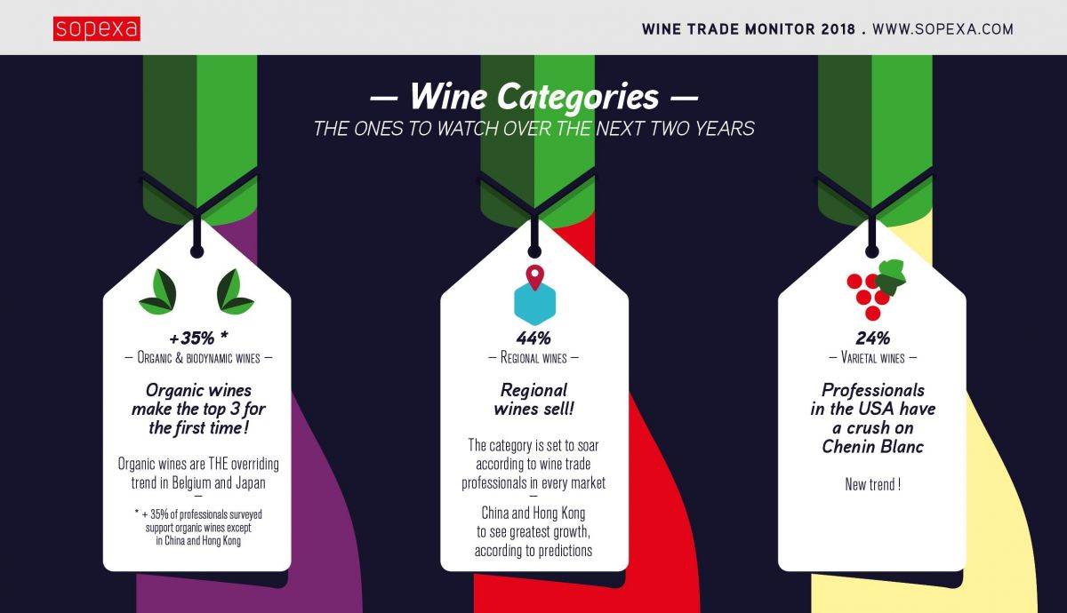 Wine-Categories.jpg