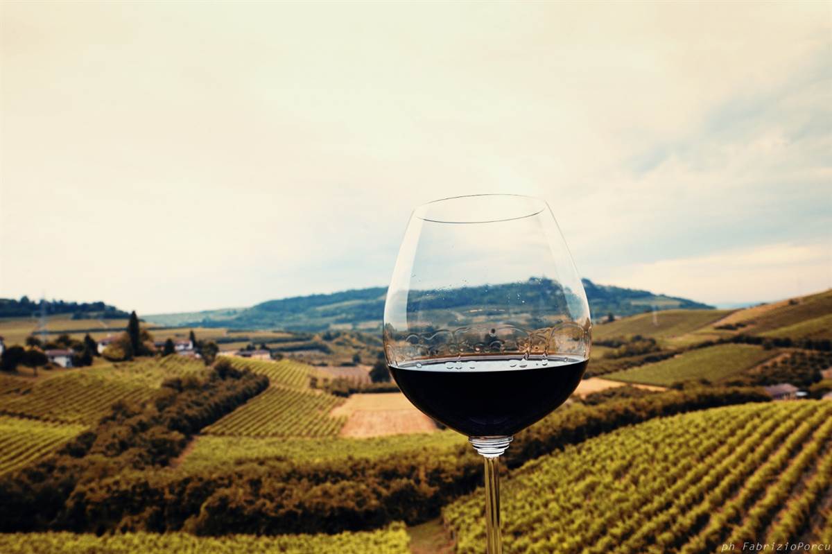 Grandi Langhe 