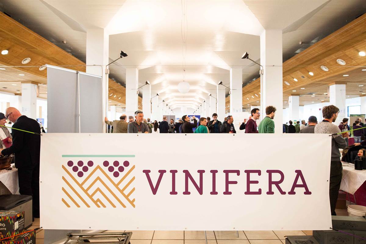 Vinifera 2022