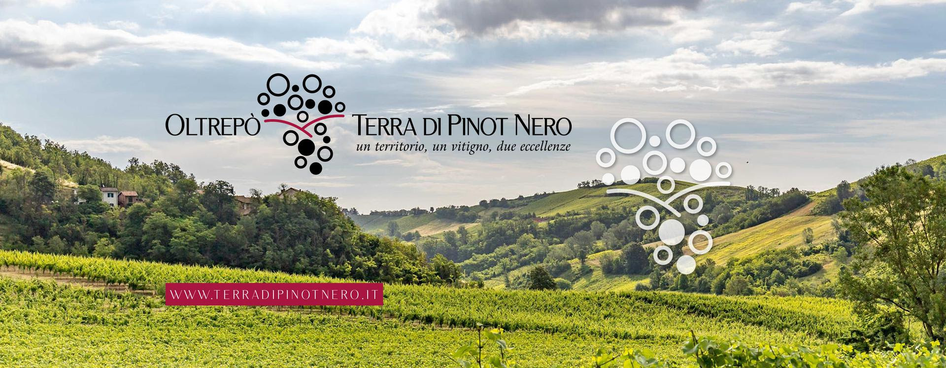 Oltrepò - Terra di Pinot Nero