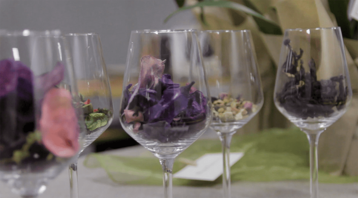 Bassano Wine Festival