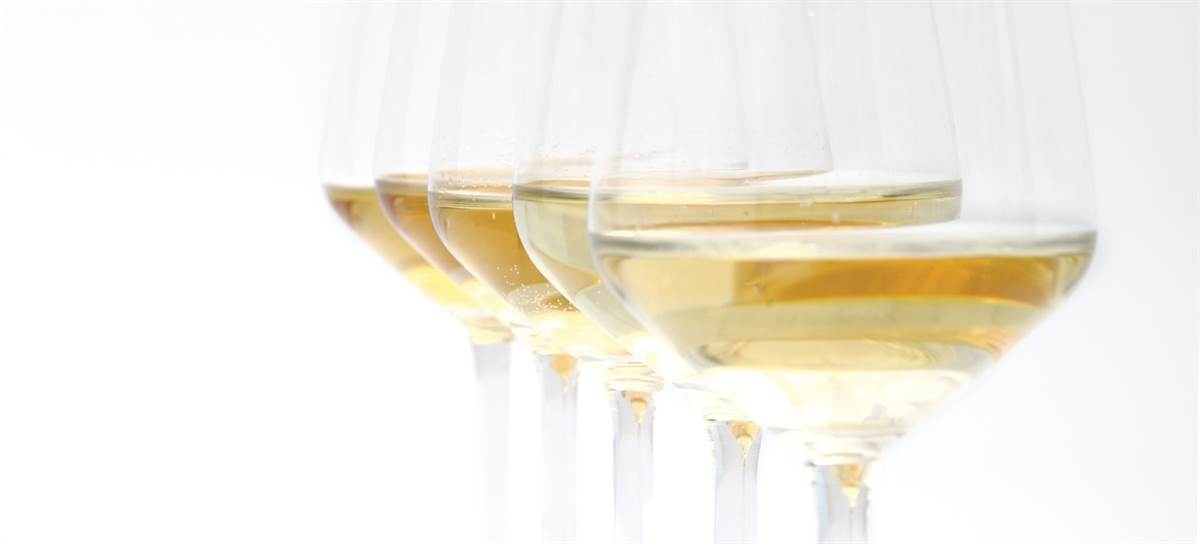 Trentodoc Festival