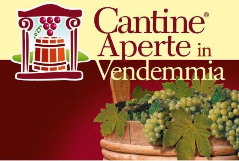 Cantine Aperte in Vendemmia