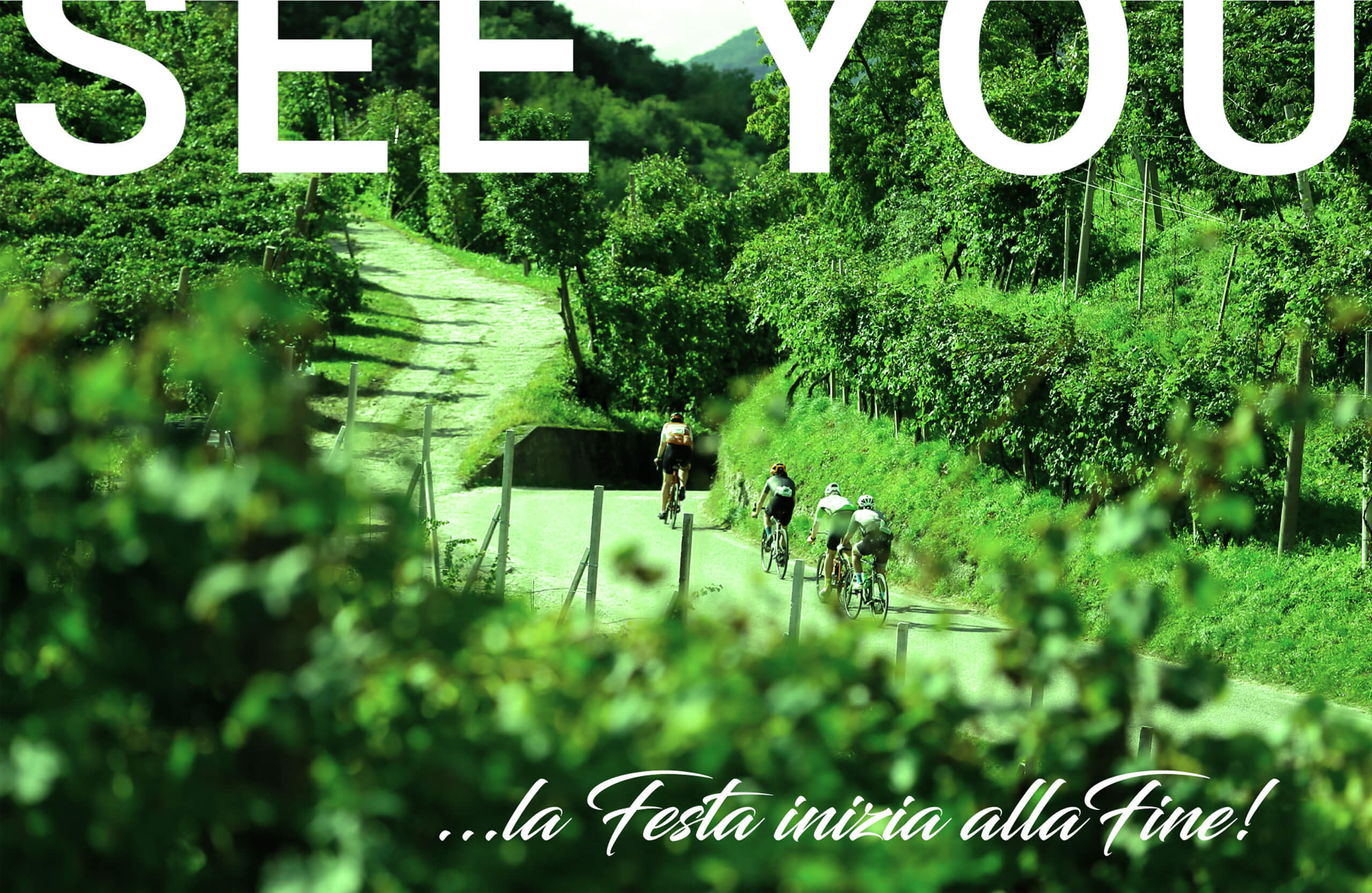 Prosecco cycling