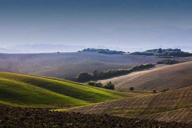 Terre di Pisa Food&Wine Festival