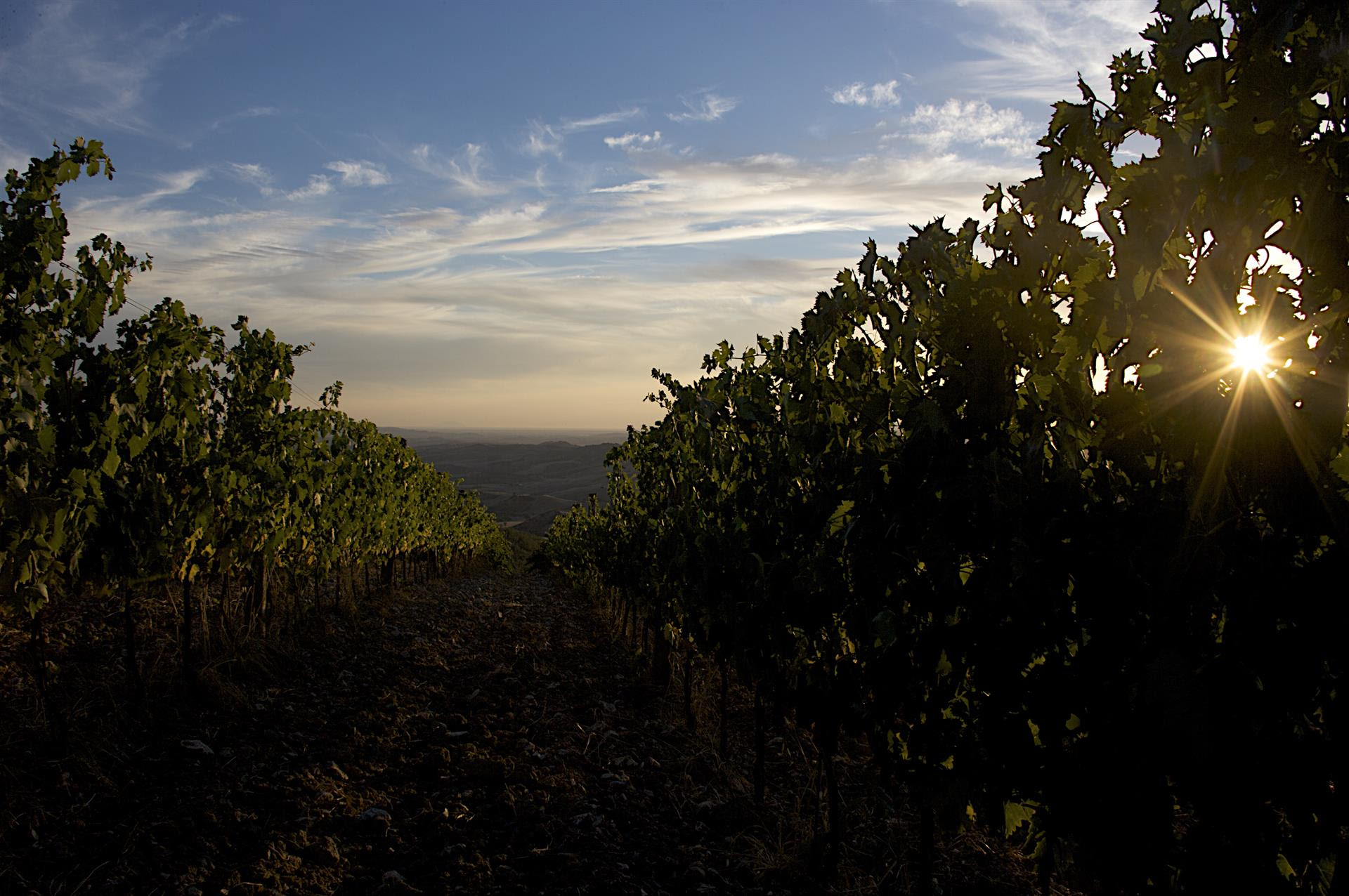 Anteprima L'Altra Toscana 2022