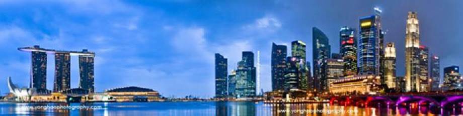 Borsa Vini Singapore