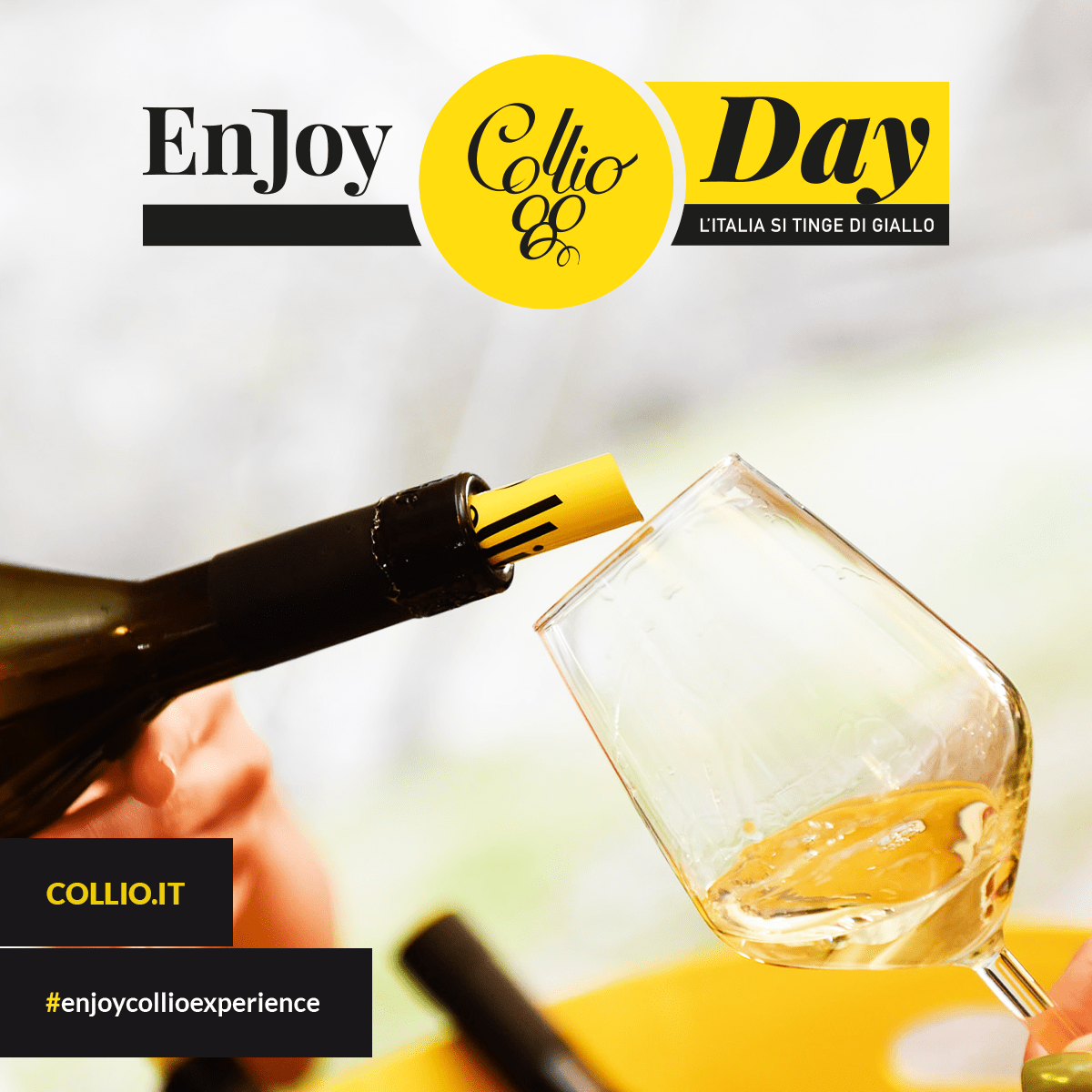 Collio Day