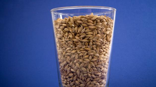 Il TTB rivede la norma sull'etichettatura degli alcolici senza glutine