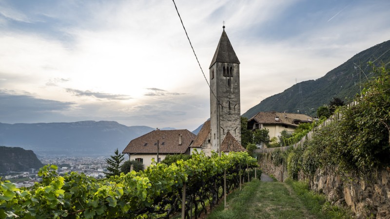 Sul sentiero del vino Rebe