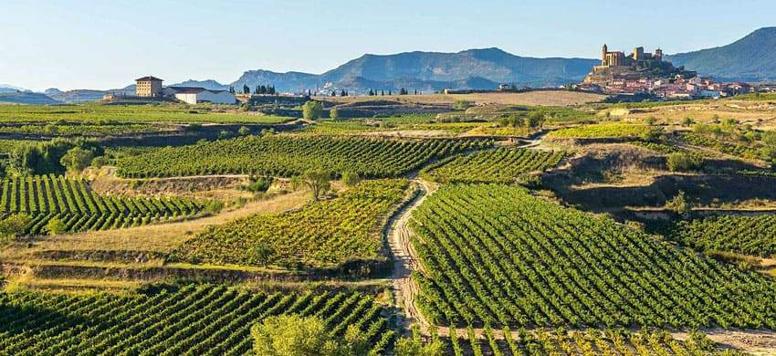 La Rioja vuole lo spumante, richiesta alla Ue la modifica del disciplinare