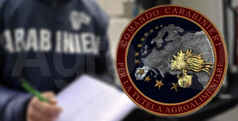 Il vademecum per il consumatore dei Carabinieri per la Tutela Agroalimentare