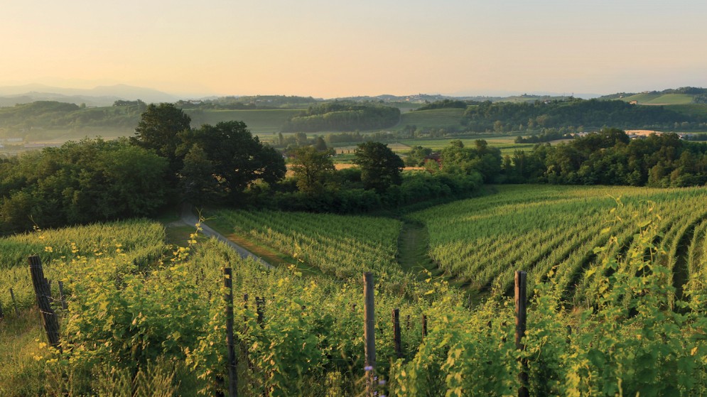 Prepotto, un angolo di paradiso tra le colline