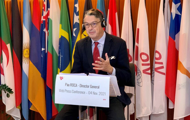 Oiv: produzione mondiale di vino in calo per il terzo anno