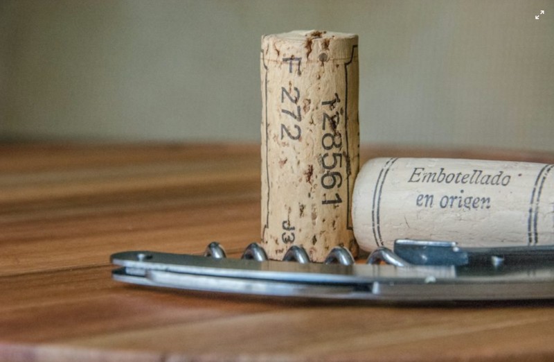 Negli Usa arriva il sommelier virtuale che usa l’intelligenza artificiale