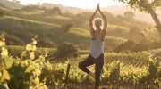 Cantine aperte a fine maggio: le nuove tendenze dell&rsquo;enoturismo