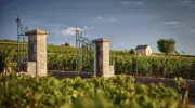 La Guida Michelin debutta nel mondo del vino