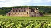 Bordeaux, dagli incendi non solo rischi ai vigneti: gravi danni all&rsquo;enoturismo 