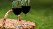 Una bozza di decreto introdurrebbe in Cile la categoria del &laquo;vino a basso contenuto alcolico&raquo;