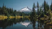 Packaging e riciclo: confermata la legittimit&agrave; della legge EPR dell&rsquo;Oregon
