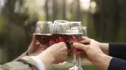 Germania, nuova tassa sulle bevande zuccherate. Esclusi i vini analcolici