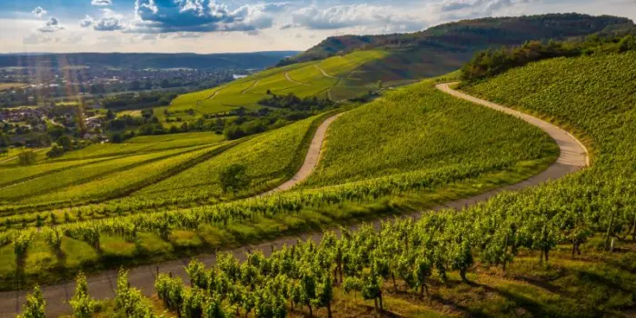 Francia: vietato indicare &ldquo;Sud de France&rdquo; sulle etichette dei vini