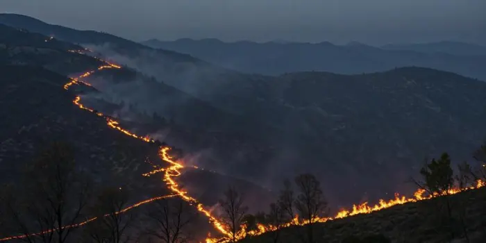 Regioni vitivinicole devastate da vasti incendi in Australia e Sudafrica 