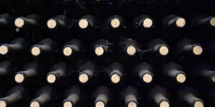 Battuta d&rsquo;arresto per vino francese, male raccolta 2025 ed export