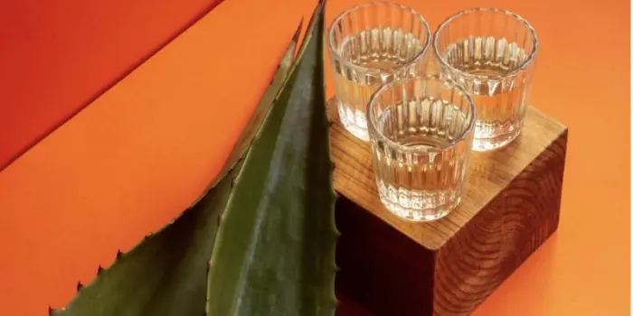 Aumenta il consumo di tequila in Italia (+25,6% nel semestre)