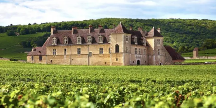 Bordeaux, dagli incendi non solo rischi ai vigneti: gravi danni all&rsquo;enoturismo 