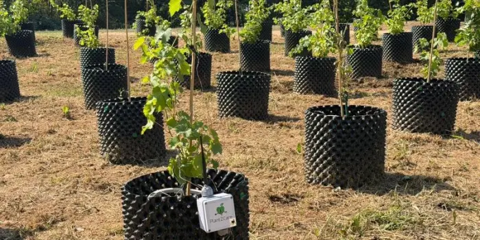 Nasce Rivit&egrave;re, la prima vigna terapeutica in un ospedale pubblico italiano
