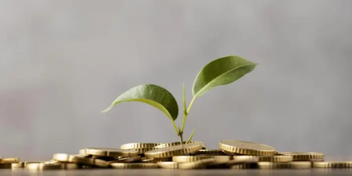 MASAF: Aggiornamento dei criteri di demarcazione per l&rsquo;intervento investimenti