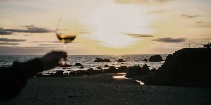 California: stop all'iter della riforma sulle etichette del vino