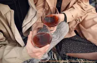 Il Rapporto sulla U.S. Wine Industry 2026 fotografa una fase di ridimensionamento strutturale