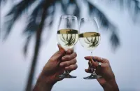 Proposta di legge in California: denominazione &ldquo;American&rdquo; solo per i vini da uve 100% usa