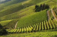 Dal 14 settembre le domande per IX edizione Banca nazionale delle Terre Agricole