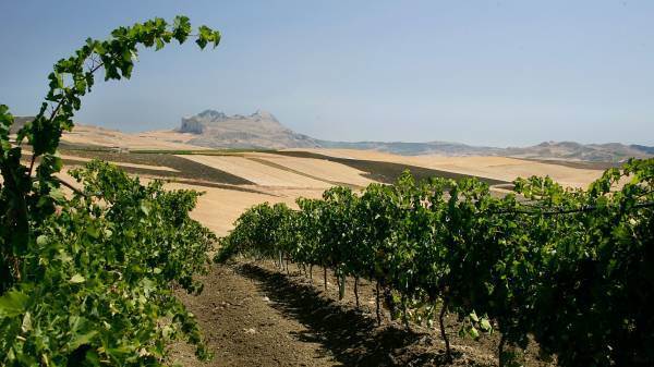 Assovini Sicilia: l’enoturismo diventa wine experience e valorizzazione del territorio